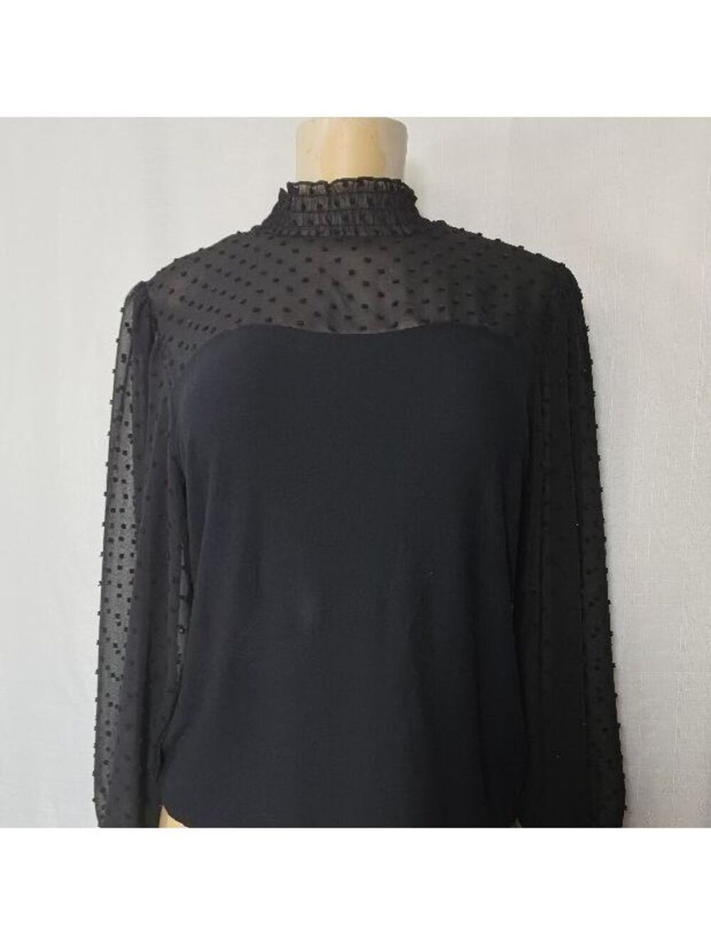 W5 Black Whimsigoth Swiss Dot Sheer Sleeve High Neck Blouse Dark Romantic Top S